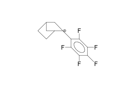 2-Pentafluorophenyl-2-norbornyl cation