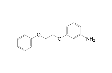m-(2-phenoxyethoxy)aniline