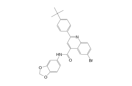 N-(1,3-benzodioxol-5-yl)-6-bromo-2-(4-tert-butylphenyl)-4-quinolinecarboxamide