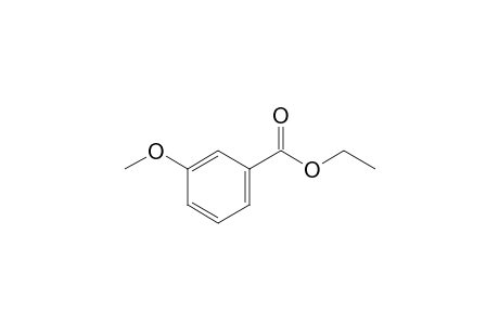 Benzoic acid,3-methoxy-,ethyl ester