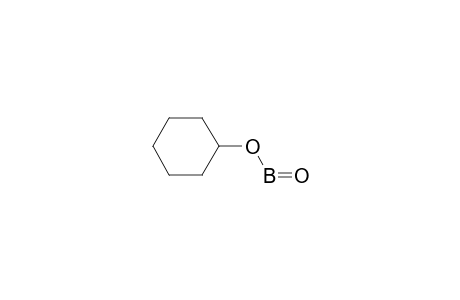 Boric acid (HBO2), cyclohexyl ester