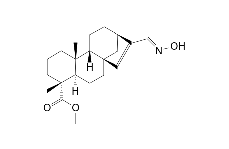 15,16-dehydro-16-(hydroxyiminomethyl)kaurenic acid methyl ester dev.