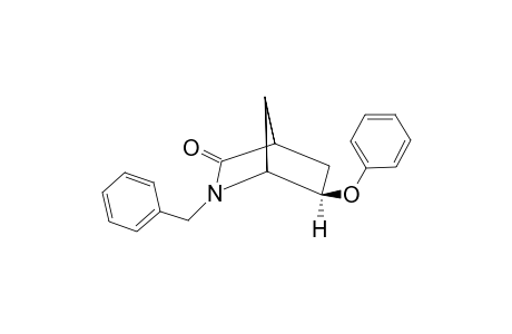 2-Benzyl-3-oxo-6-exo-phenoxy-2-azabicyclo-[2.2.1]-heptane