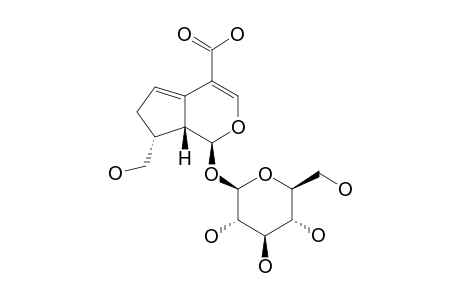 5-DEHYDRO-8-EPI-ADOXOSIDIC-ACID