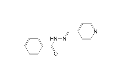 N'-[(E)-4-Pyridinylmethylidene]benzohydrazide