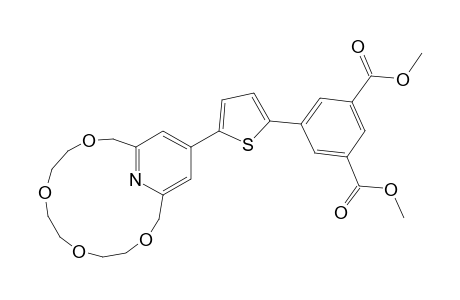 5-[5-(3,6,9,12-tetraoxa-18-azabicyclo[12.3.1]octadeca-1(17),14(18),15-trien-16-yl)-2-thienyl]benzene-1,3-dicarboxylic acid dimethyl ester