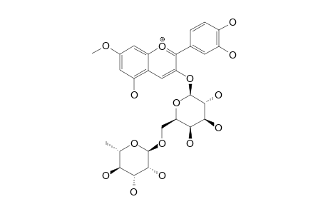 7-O-METHYL-CYANIDIN-3-O-ROBINOBIOSIDE;PIGMENT-2;7-O-METHYL-CYANIDIN-3-O-[6-O-(ALPHA-L-RHAMNOPYRANOSYL)-BETA-D-GALACTOPYRANOSIDE]