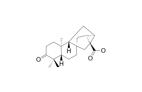 3-OXO-ENT-TRACHYLOBAN-17-OIC-ACID