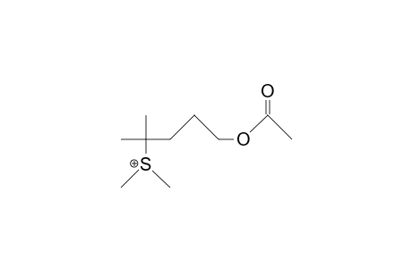 (1-Acetoxy-4-methyl-pent-4-yl)-dimethyl-sulfonium cation