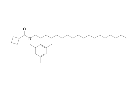 Cyclobutanecarboxamide, N-(3,5-dimethylbenzyl)-N-octadecyl-