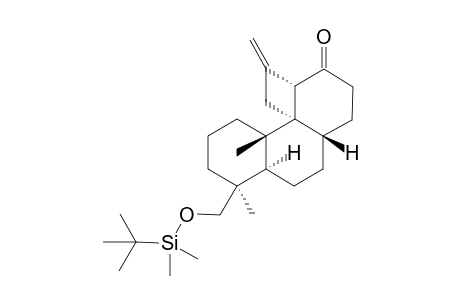 (3aS,5aR,6S,9aS,9a1R,11aS)-6-((tert-butyldimethylsilyloxy)methyl)-6,9a-dimethyl-11-methylenetetradecahydro-1H-cyclobuta[d]phenanthren-1-one