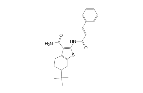 6-tert-butyl-2-{[(2E)-3-phenyl-2-propenoyl]amino}-4,5,6,7-tetrahydro-1-benzothiophene-3-carboxamide