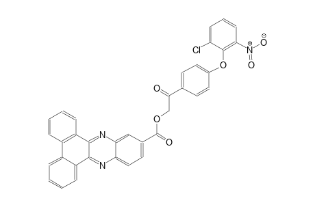 2-[4-(2-chloro-6-nitrophenoxy)phenyl]-2-oxoethyl dibenzo[a,c]phenazine-11-carboxylate