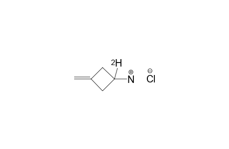 1-DEUTERO-3-METHYLENE-CYCLOBUTYLAMINE-HYDROCHLORIDE