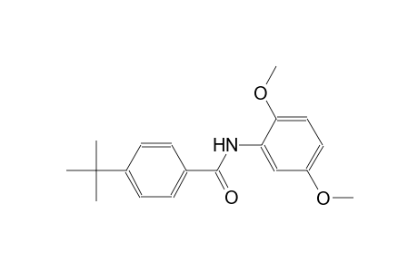 4-tert-butyl-N-(2,5-dimethoxyphenyl)benzamide
