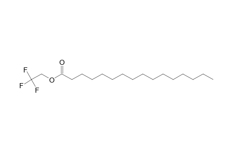 Hexadecanoic acid, 2,2,2-trifluoroethyl ester