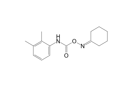 cyclohexanone, O-[(2,3-xylyl)carbamoyl]oxime