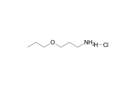 1-Propanamine, 3-propoxy-, hydrochloride, salt