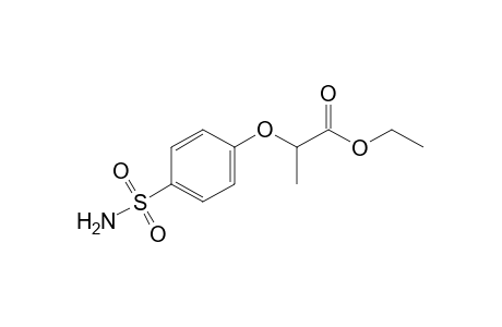 2-(p-sulfamoylphenoxy)propionic acid, ethyl ester