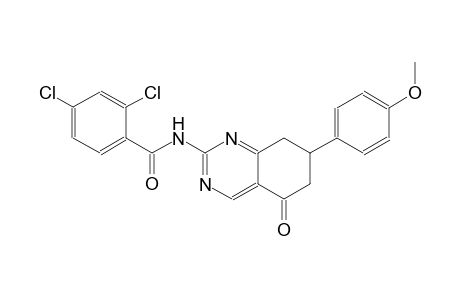 2,4-dichloro-N-[7-(4-methoxyphenyl)-5-oxo-5,6,7,8-tetrahydro-2-quinazolinyl]benzamide