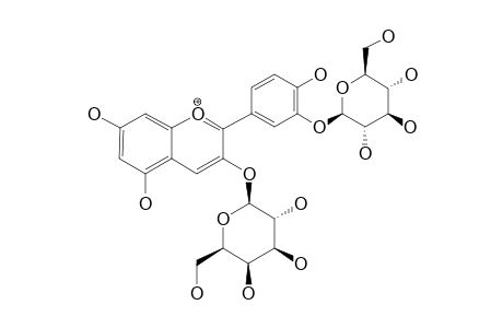 CYANIDIN-3-O-BETA-GALACTOPYRANOSIDE-3'-O-BETA-GLUCOPYRANOSIDE
