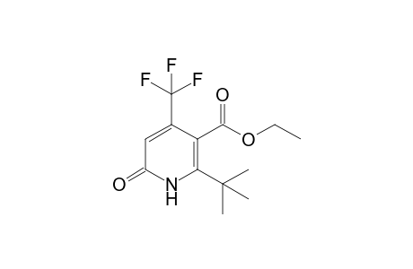 6-tert-Butyl-5-(ethoxycarbonyl)-4-(trifluoromethyl)pyridin-2(1H)-one