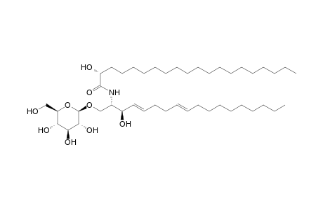 (2S,3R,4E,8E,2'R)-1-O-(beta-D-glucopyrancosyl)-N-(2-hydroxyiosanoyl)-4,8-sphingadienine