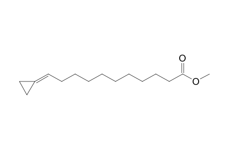 Methyl 11-Cyclopropylideneundecanoate