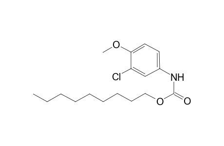 Carbamic acid, N-(3-chloro-4-methoxyphenyl)-, nonyl ester
