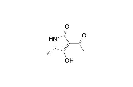 2H-Pyrrol-2-one, 3-acetyl-1,5-dihydro-4-hydroxy-5-methyl-, (S)-