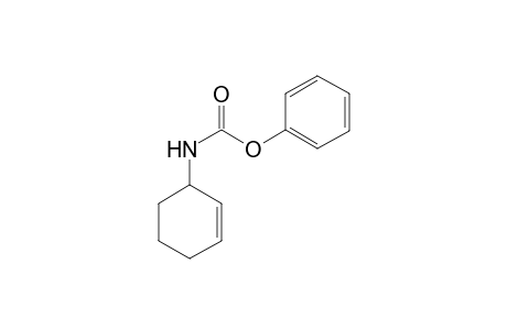 N-(Cyclohex-2-enyl)-phenyl carbamate