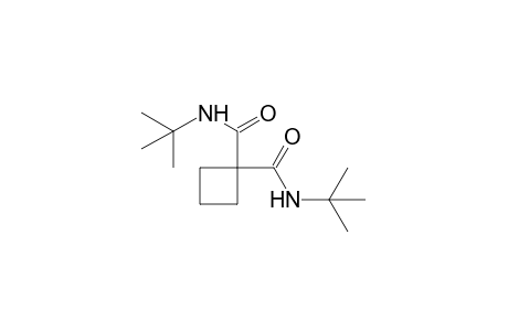 N,N'-di-tert-butyl-1,1-cyclobutanedicarboxamide