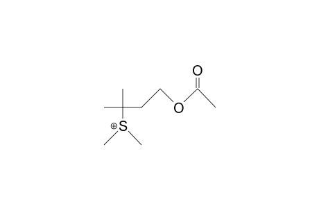 (1-Acetoxy-3-methyl-but-3-yl)-dimethyl-sulfonium cation