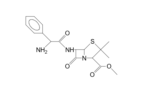Ampicillin methylester