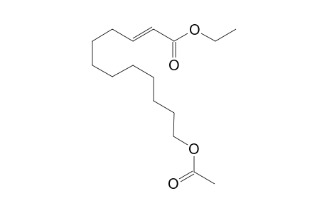 (E)-Ethyl 12-acetoxy-2-decenoate