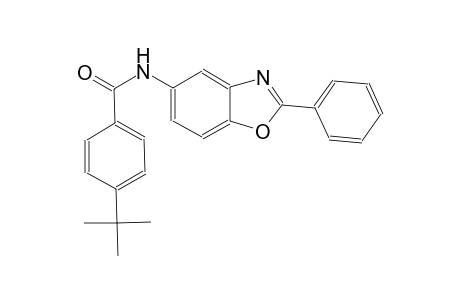 benzamide, 4-(1,1-dimethylethyl)-N-(2-phenyl-5-benzoxazolyl)-
