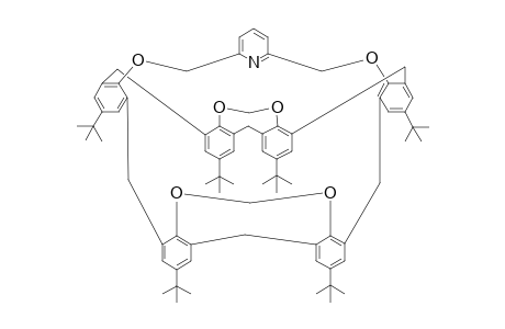5,11,17,23,29,35-Hexa(t-butyl)-37,40 : 38,41-bis(methylenedioxy)-39,42-[(2',6'-pyridinediyl)-bis(methyleneoxy)]calix[6]arene
