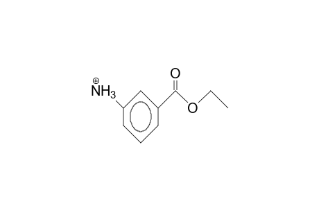 3-Ammonio-benzoic acid, ethyl ester cation