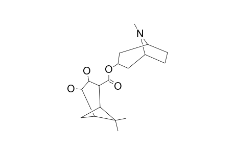 BONABILINE_A;8-METHYL-8-AZA-BICYCLO-[3.2.1]-OCT-3-YL_3,4-DIHYDROXY-6,6-DIMETHYLBICYCLO-[3.1.1]-HEPTAN-2-CARBOXYLATE