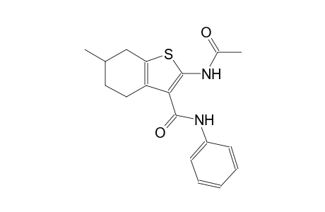 2-(acetylamino)-6-methyl-N-phenyl-4,5,6,7-tetrahydro-1-benzothiophene-3-carboxamide