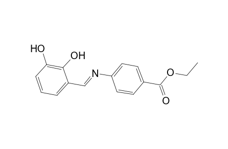 Ethyl 4-([(E)-(2,3-dihydroxyphenyl)methylidene]amino)benzoate