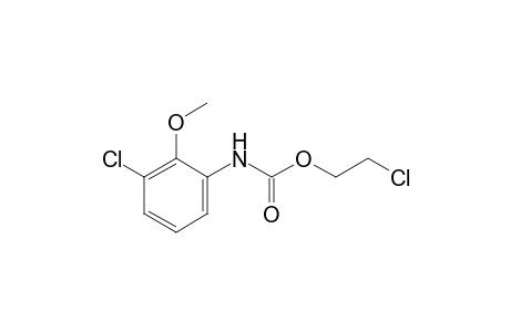 3-chloro-2-methoxycarbanilic acid, 2-chloroethyl ester