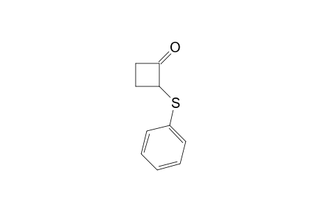 2-(Phenylthio)cyclobutanone