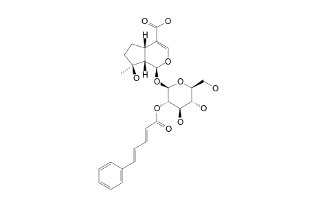 2'-O-(5-PHENYL-2E,4E-PENTADIENOYL)-MUSSAENOSIDIC-ACID