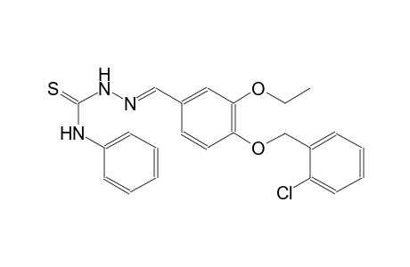4-[(2-chlorobenzyl)oxy]-3-ethoxybenzaldehyde N-phenylthiosemicarbazone