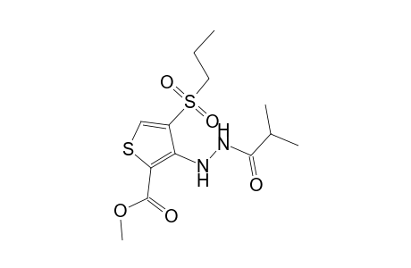 Thiophene-2-carboxylic acid, 3-(2-isobutyrylhydrazino)-4-(propane-1-sulfonyl)-, methyl ester