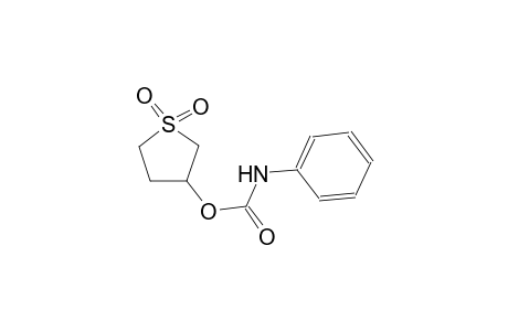 carbamic acid, phenyl-, tetrahydro-1,1-dioxido-3-thienyl ester