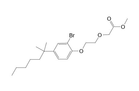 2-[2-[2-bromo-4-(1,1-dimethylhexyl)phenoxy]ethoxy]acetic acid methyl ester