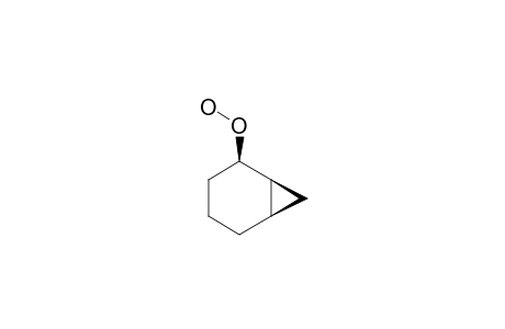 ENDO-2-PERHYDROXY-NORCARANE