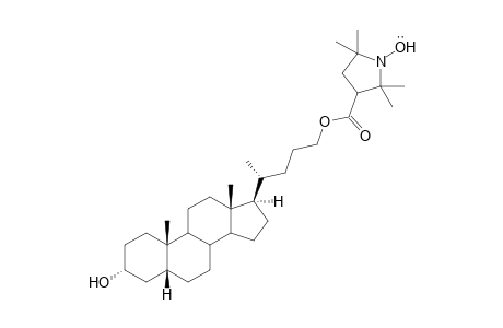 3'-(3.alpha.-Hydroxycholan-24-oate)-2',2',5',5'-tetramethylpyrrolidine-1'-oxyl
